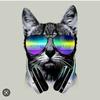 Thomas alba 😸 - @thomasalba1 - TikTok