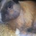 Thomas Alben - Facebook