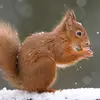 Thomas Alberto - @thomas.alberto2 - TikTok
