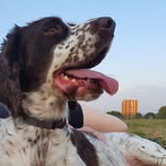 Thomas Colquhoun-Alberts - @sprockethound - Instagram