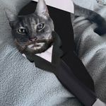 Theodore Thomas Albus Nesbitt - @sirthomasthe13th - Instagram