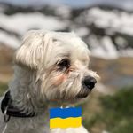 Thomas Albus - @thomasalbus - Instagram