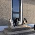 Thomas Alcorn - Facebook