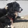 thomas alcorn - @thomas.alcorn - TikTok