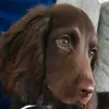 thomasalcorn07 - @thomasalcorn07 - TikTok