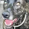 Tom alcorn - @thomas.alcorn15 - TikTok