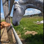 Thomas Alden - @talden1138 - Instagram