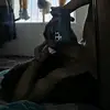 Tomas Aleman - @tomasaleman - TikTok