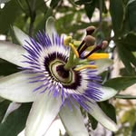 Thomas Allemand - @thomas.allemand.75 - Instagram