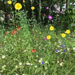 Thomas Allingham - @allingham.thomas - Instagram