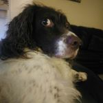 Thomas Allison - @tallison1 - Instagram