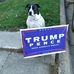 Thomas Allshouse - Facebook