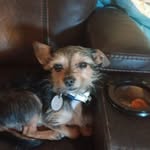 Thomas Alsup - @thomasalsup - Instagram