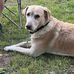 Thomas Alsup - Facebook