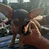 thomasalsup311 - @thomasalsup311 - TikTok