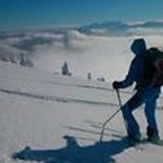 Thomas Altenberger - @thomasaltenberger - Instagram