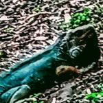 Thomas amador - @thomasamador55 - Instagram