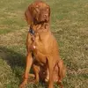Thomas Amberger - @thomas.amberger - TikTok
