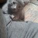 Tom Ammons - Facebook
