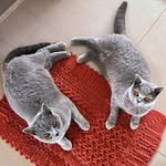 Thomas & Esther - @thomas.and.esther - Instagram