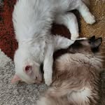 Thomas and Oscar - @thomas.and.oscar - Instagram
