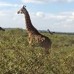 Thomas Ando - @thomas.ando - Instagram