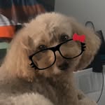 andries.thomas - @andries.thomas6 - Instagram