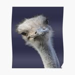 Thomas Angerer - @thomas_angerer - Instagram