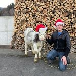 Thomas Angerer - @angerer_thomas_ - Instagram