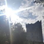 Thomas Angle - @thomas.r.angle - Instagram