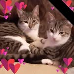 Thomas Anker - @thomas.anker.169 - Instagram