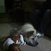 Tom Appell - Facebook