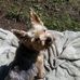 Thomas Apple - Facebook