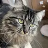 Thomas Appleby - @_thomas_appleby_ - TikTok