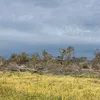 thomas.apple - @thomas.apple - TikTok