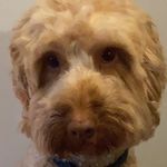 Jacob - @jacob_thomas_appleton - Instagram