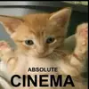 Teddy - @thomas.aragon1 - TikTok