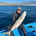 Thomas Arce - @thomas_arcee - Instagram