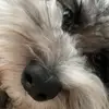 Tomas Arce - @tomas.arce52 - TikTok