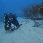 Thomas Archbold - @thomas_archbold - Instagram
