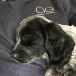 Thomas - @thomas_arkwright - Instagram