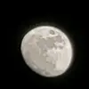 ThomasArmerlo67 - @thomas_andfriend - TikTok