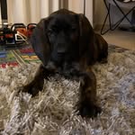 Thomas Arnould - @arnould1311 - Instagram