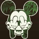 tanguy arnt thomas - @tanguyarntthomas - Instagram