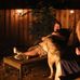 Thomas Arp - Facebook