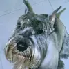 Thomas-artza - @thomas_artza - TikTok