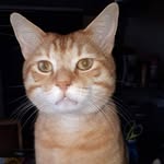 thomasasmus_ - @thomasasmus_ - Instagram