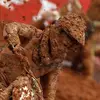Thomas AUBRY - @thomas.aubry8 - TikTok