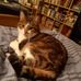 Thomas Aubry - Facebook