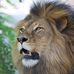 Thomas Auclair - Facebook